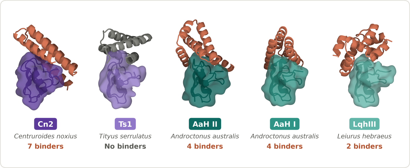 Cấu trúc ba chiều của năm độc tố bọ cạp (Cn2, Ts1, AaH II, AaH I, LqhIII) cùng protein thiết kế gắn vào từng cái, ghi số thiết kế đạt: 7, không có, 4, 4 và 2